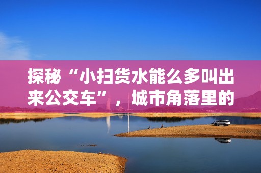 探秘“小扫货水能么多叫出来公交车”，城市角落里的温情故事