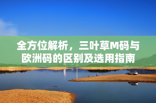 全方位解析，三叶草M码与欧洲码的区别及选用指南