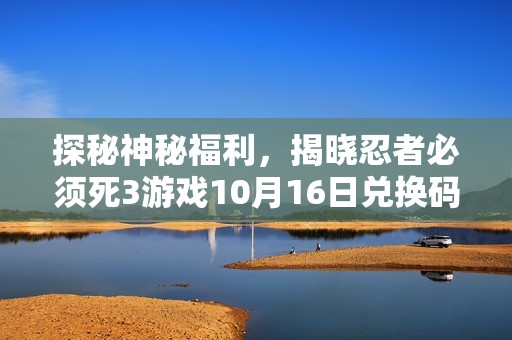 探秘神秘福利，揭晓忍者必须死3游戏10月16日兑换码