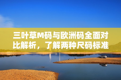 三叶草M码与欧洲码全面对比解析，了解两种尺码标准的差异