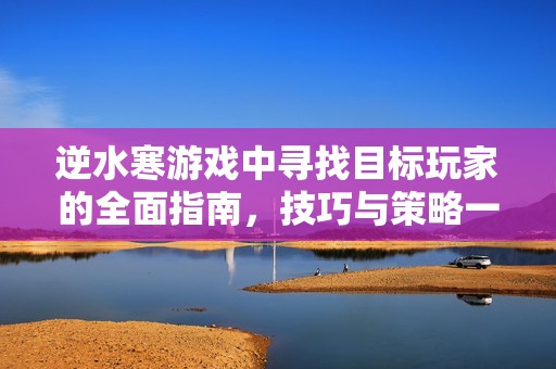 逆水寒游戏中寻找目标玩家的全面指南，技巧与策略一览