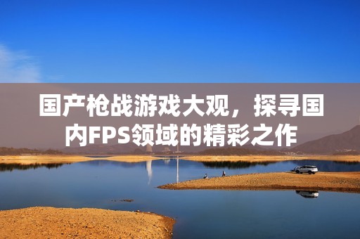 国产枪战游戏大观，探寻国内FPS领域的精彩之作